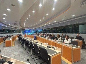 Referentin für Interinstitutionelle Beziehungen begrüßt die Auszubildenden im Hauptsitz der Europäischen Kommission in einem Besprechungszimmer